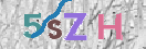 Obraz CAPTCHY