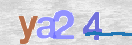 Obraz CAPTCHY