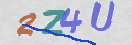 Obraz CAPTCHY
