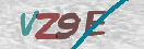 Obraz CAPTCHY