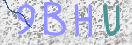 Obraz CAPTCHY