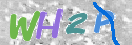 Obraz CAPTCHY