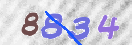 Obraz CAPTCHY