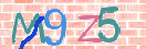 Obraz CAPTCHY