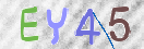 Obraz CAPTCHY