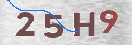 Obraz CAPTCHY