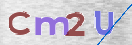 Obraz CAPTCHY