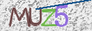 Obraz CAPTCHY