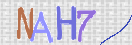 Obraz CAPTCHY