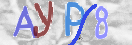Obraz CAPTCHY